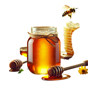 &#x130;kiqat fermentasiyal&#x131; bal kateqoriyas&#x131; &#xFC;&#xE7;&#xFC;n &#x15F;&#x259;kil