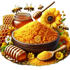 G&#xFC;l&#x259;m kateqoriyas&#x131; &#xFC;&#xE7;&#xFC;n &#x15F;&#x259;kil