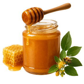 Premium bal kateqoriyas&#x131; &#xFC;&#xE7;&#xFC;n &#x15F;&#x259;kil