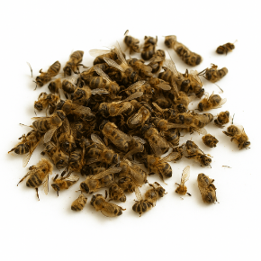 Ar&#x131; qal&#x131;qlar&#x131; kateqoriyas&#x131; &#xFC;&#xE7;&#xFC;n &#x15F;&#x259;kil