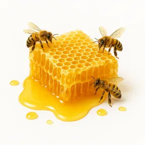 &#x15E;an bal&#x131; kateqoriyas&#x131; &#xFC;&#xE7;&#xFC;n &#x15F;&#x259;kil